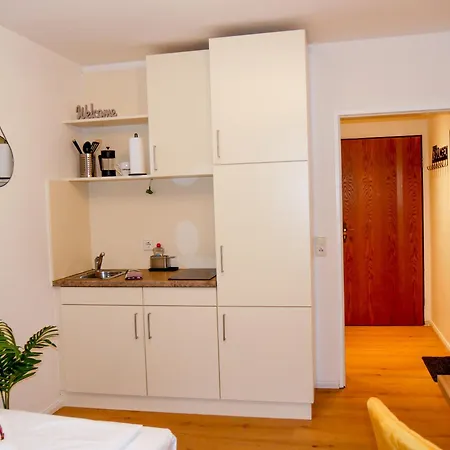 Gemuetliche 1 Zi-whg In Lage Von Passau! 帕绍