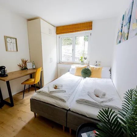 公寓 Gemuetliche 1 Zi-whg In Lage Von Passau! 帕绍